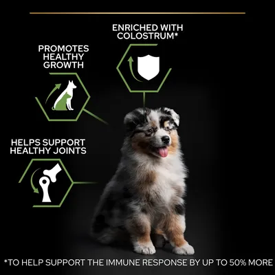 Text på engelska: Promotes healthy growth, Helps support healthy joints, Enriched with colostrum. Bild på valp. Fotnot: To help support the immune response by up to 50% more.