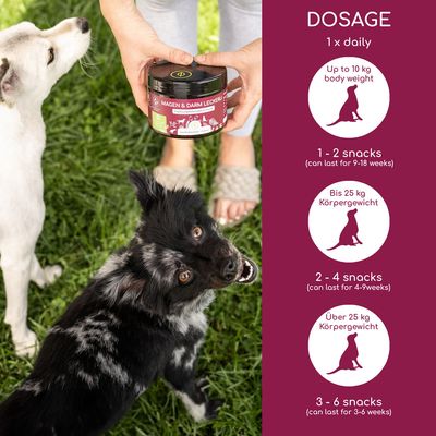 Wolfsbacher Natur Leckerli Stomach & Intestine Dog Snacks - dog supplements - 300g