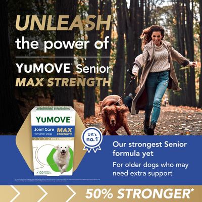 YuMOVE Senior Max Strength joint care tablets for senior dogs, UK's no.1, 50% stronger formula for older dogs needing extra support. Box of 120 tasty tablets shown.