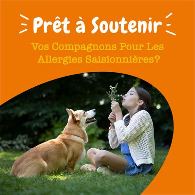 Prêt à Soutenir Vos Compagnons Pour Les Allergies Saisonnières? Texte en haut de l’image, personne assise avec un chien dans un parc, bouquet de plantes visibles.