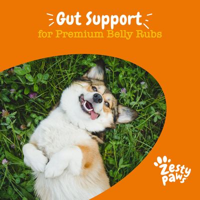 Text: Gut Support for Premium Belly Rubs. Zesty Paws. Pes ležící na zádech v trávě.