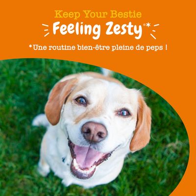 Texte en anglais : Keep Your Bestie Feeling Zesty. Texte en français : Une routine bien-être pleine de peps !