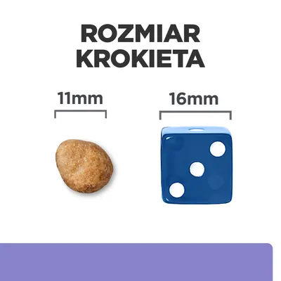 Rozmiar krokieta: porównanie krokieta 11 mm i kostki do gry 16 mm. Widoczne napisy: 'ROZMIAR KROKIETA', '11 mm', '16 mm'.