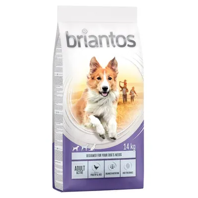 Balení krmiva briantos 14 kg, viditelný text: ADULT ACTIVE, POULTRY & RICE, BALANCED NUTRITION, HIGH TOLERANCE, Designed for your dog's needs.