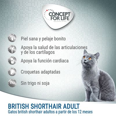 Concept for Life British Shorthair Adult. Piel sana y pelaje bonito, apoya articulaciones, función cardiaca, croquetas adaptadas, sin trigo ni soja. Para gatos adultos british shorthair.