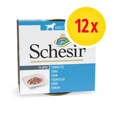 Confezione Schesir in jelly tonnetto per cani adulti, 12 x. Testo visibile: tonnetto, tuna, thon, thunfisch, atún, tonijn. Immagine di tonno su piatto.