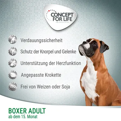 CONCEPT FOR LIFE, BOXER ADULT ab dem 15. Monat. Verdauungssicherheit, Schutz der Knorpel und Gelenke, Unterstützung der Herzfunktion, angepasste Krokette, frei von Weizen oder Soja.