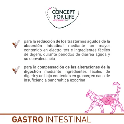 Concept for Life Veterinary Diet. Gastro Intestinal: reducción de trastornos agudos de absorción intestinal y compensación de alteraciones de la digestión en gatos, según texto visible.