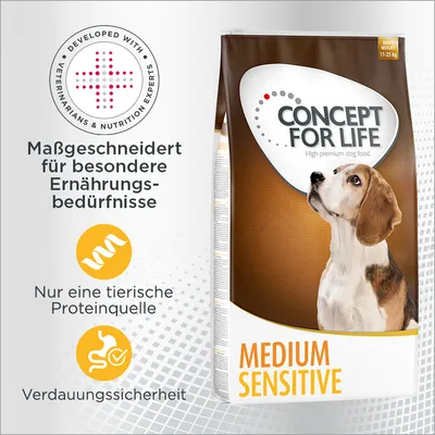 Concept for Life Medium Sensitive Hundefutter. Massgeschneidert für besondere Ernährungsbedürfnisse, nur eine tierische Proteinquelle, Verdauungssicherheit. Entwickelt mit Experten.