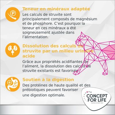 Concept for Life Veterinary Diet Urinary bœuf pour chat