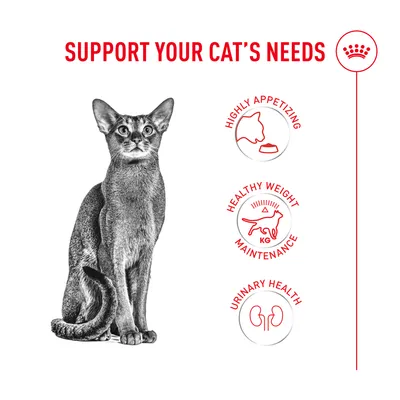 Royal Canin Fussy Exigent Royal Canin Fussy Exigent