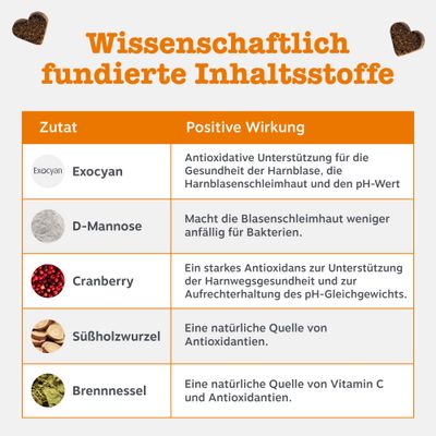 Tabelle: Wissenschaftlich fundierte Inhaltsstoffe. Exocyan, D-Mannose, Cranberry, Süßholzwurzel, Brennnessel mit jeweiliger positiver Wirkung auf Harnblase und Antioxidantien.