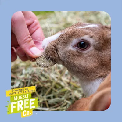 Hand feeding a small animal with a food pellet, with text stating 'Stamping out selective feeding. Muesli free co.'