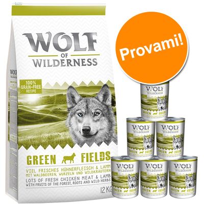 Set prova misto! Wolf of Wilderness Adult secco + umido Set 1: 12 kg secco + 6 x 400 g umido Agnello