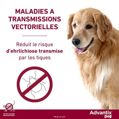 Advantix® très grand chien, de 40 kg à 60 kg - 4 mois de protection (4 pipettes)