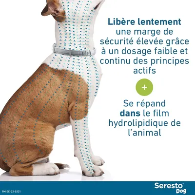 Collier antiparasitaire Seresto® pour grand chien - 1 collier grand chien > 8 kg, 70 cm