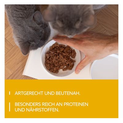 Probierpaket GimCat Near Nature 12 x 85 g - Mix (4 Sorten gemischt)