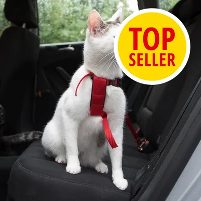 Gatto con pettorina rossa seduto su un sedile posteriore d'auto. Cerchio giallo con testo rosso: TOP SELLER.