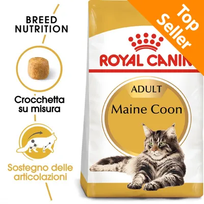 ROYAL CANIN ADULT Maine Coon, crocchetta su misura, sostegno delle articolazioni, Top Seller. Immagine di un gatto Maine Coon sulla confezione.