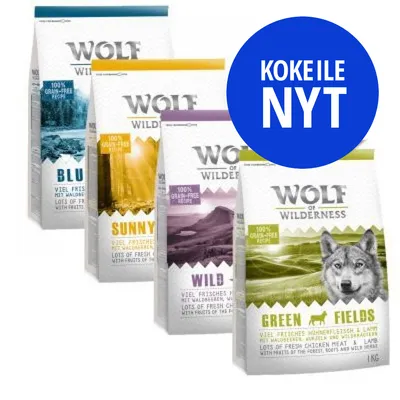 Wolf of Wilderness -koiranruokapakkaukset: Blue River, Sunny Glade, Wild Hills, Green Fields. Sininen ympyrä, jossa teksti 'Kokeile nyt'.