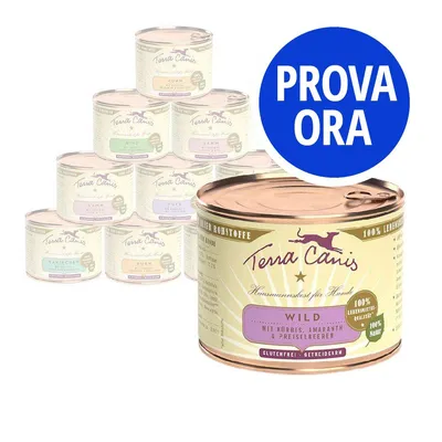 Scatolette Terra Canis per cani, variante Wild con zucca, amaranto e mirtilli rossi. Testo visibile: 'PROVA ORA', '100% Lebensmittel-Qualität', 'glutenfrei', 'getreidearm'.