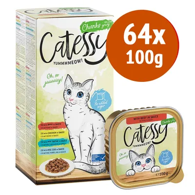Catessy Chunks in Gravy, confezione da 64 x 100 g. Testo visibile: 'No added sugar', 'Oh, so juuuicy!', vari gusti elencati sulla confezione, immagine di un gatto disegnato.