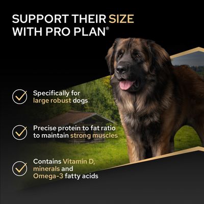 Stöd deras storlek med Pro Plan. Speciellt för stora, robusta hundar. Precist protein-fettförhållande för starka muskler. Innehåller vitamin D, mineralämnen och omega-3-fettsyror.