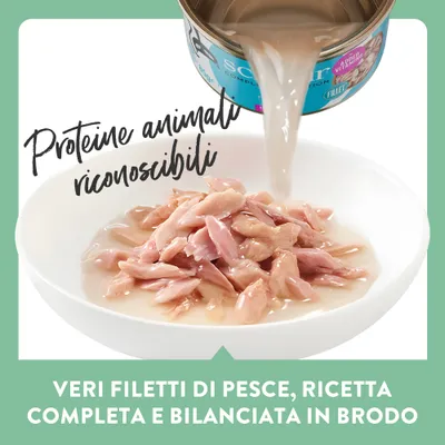 Schesir Complete Nutrition Filetti in brodo 6 x 85 g in lattine - Salmone