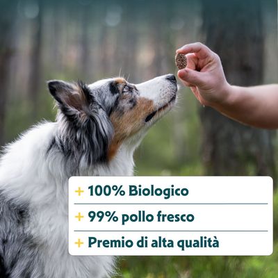 100% biologico, 99% pollo fresco, snack di alta qualità. Testo sull'immagine con cane e mano che tiene uno snack.