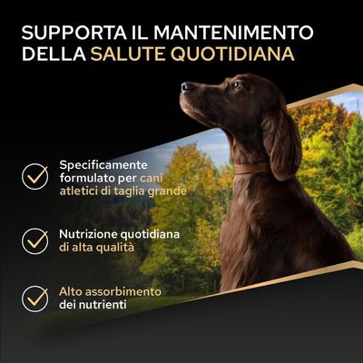 Favorisce la salute quotidiana. Formulato appositamente per cani di taglia grande e atletici, alimentazione quotidiana di alta qualità, elevato assorbimento dei nutrienti.