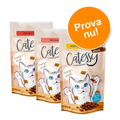 Tre påsar Catessy kattgodis, smaker: nötkött, lax och fågel. Text: 'Crunchy n’ smooth!', 'YUMMMMEOW!', orange cirkel med texten 'Prova nu!'. Varje påse 65 g. Tre påsar Catessy kattgodis, smaker: nötkött, lax och fågel. Text: 'Crunchy n’ smooth!', 'YUMMMMEOW!', orange cirkel med texten 'Prova nu!'. Varje påse 65 g.