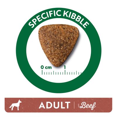 Száraz kutyatáp szemcse, mellette vonalzó 0–1 cm-ig. Feliratok: SPECIFIC KIBBLE, ADULT with Beef.