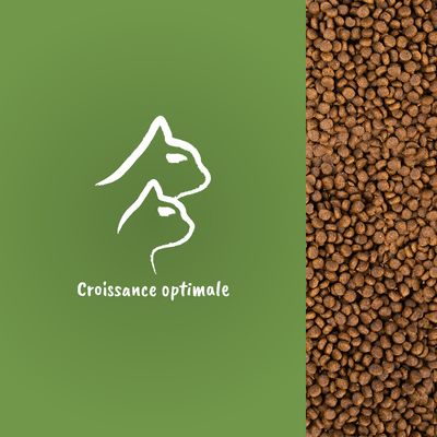 Croquettes marron en vrac, texte visible : Croissance optimale, silhouettes de chien et chat dessinées en blanc sur fond vert.