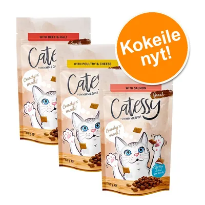Catessy Yummmmeow! Snack, maut: with beef & malt, with poultry & cheese, with salmon. Pakkauksessa teksti: Crunchy'n smooth!, 65 g. Oranssi ympyrä: Kokeile nyt! Catessy Yummmmeow! Snack, maut: with beef & malt, with poultry & cheese, with salmon. Pakkauksessa teksti: Crunchy'n smooth!, 65 g. Oranssi ympyrä: Kokeile nyt!