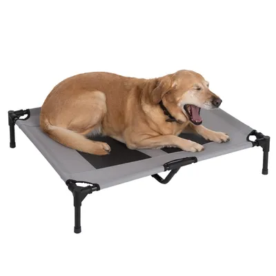 Hund ligger på en hævet grå hundeseng med sort midterområde og stabile metalben.