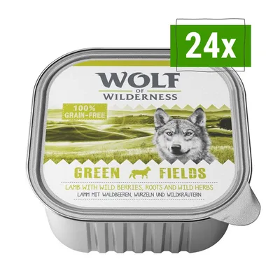 Økonomipakke Wolf of Wilderness Adult 24 x 300 g  