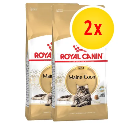 Lot de 2 sacs Royal Canin Adult Maine Coon, image d’un chat Maine Coon sur l’emballage, mention « Joint Support » visible. Lot de 2 sacs Royal Canin Adult Maine Coon, image d’un chat Maine Coon sur l’emballage, mention « Joint Support » visible.