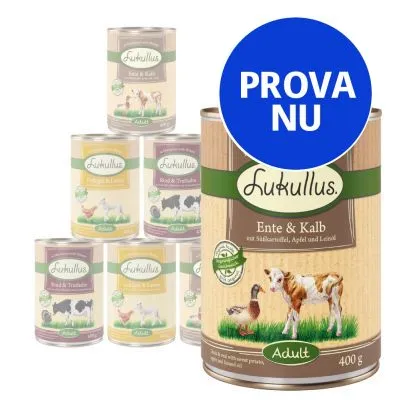 Flera burkar Lukullus våtfoder för hund, synliga sorter: Ente & Kalb, Rind & Truthahn, Geflügel & Lamm. Stor blå cirkel med texten PROVA NU.