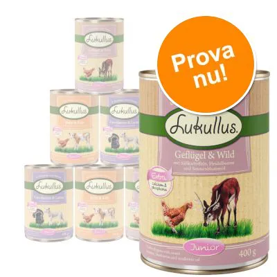 Lukullus våtfoderburkar med synlig text: 'Geflügel & Wild', 'Junior', 400 g. Orange cirkel med texten 'Prova nu!'. Flera burkar i bakgrunden.