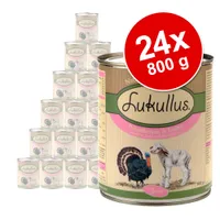 24 latas de 800 g de comida Lukullus Putenherzen & Lamm, embalagem com ilustrações de peru e cordeiro. Texto visível: '24x 800 g', 'Lukullus', 'Putenherzen & Lamm'.