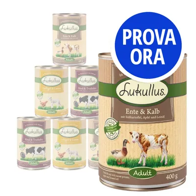 Scatole di cibo per cani Lukullus Adult, vari gusti visibili: Ente & Kalb, Geflügel & Lamm, Rind & Truthahn. Testo in evidenza: PROVA ORA.