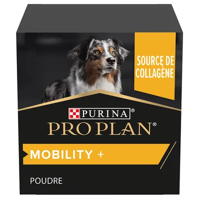 Boîte de PURINA PRO PLAN MOBILITY+ poudre, source de collagène, avec photo d’un chien sur l’emballage.