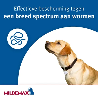 Effectieve bescherming tegen een breed spectrum aan wormen. Milbemax.