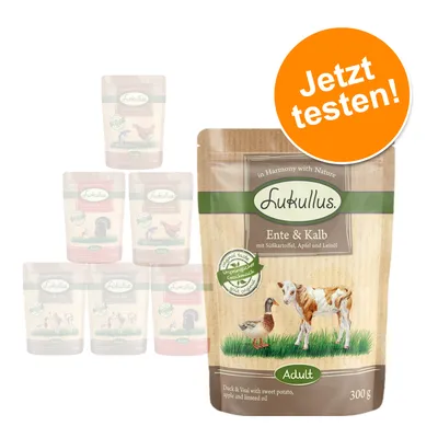 Lukullus Ente & Kalb Adult 300 g, pakkauksessa teksti 'mit Süßkartoffel, Apfel und Leinöl'. Oranssi ympyrä: 'Jetzt testen!'. Taustalla muita Lukullus-pakkauksia. Lukullus Ente & Kalb Adult 300 g, pakkauksessa teksti 'mit Süßkartoffel, Apfel und Leinöl'. Oranssi ympyrä: 'Jetzt testen!'. Taustalla muita Lukullus-pakkauksia.