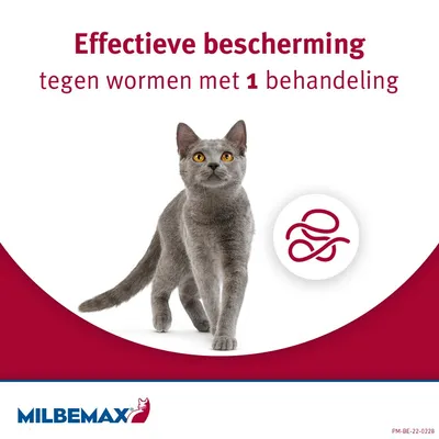 Milbemax Kleine Kat - 12  - 2 x 2 Tabletten - NL