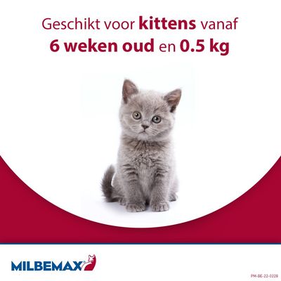 Milbemax Kleine Kat - 12  - 2 x 2 Tabletten - NL