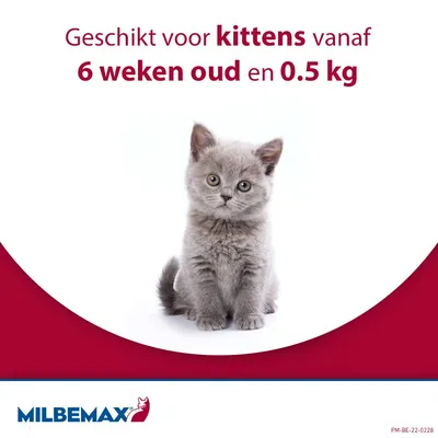 Milbemax Kleine Kat - 12  - 2 x 2 Tabletten - NL