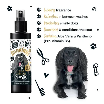 Spray bottle with text: luxury fragrance, refreshes in between washes, deodorises smelly dogs, nourishes and conditions the coat, contains Aloe Vera and Panthenol (Pro-vitamin B5).
