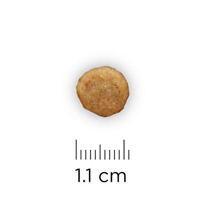 Кръгла гранула с диаметър 1,1 см, показана до линийка за размер.
