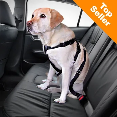 Cane seduto sul sedile posteriore dell'auto con pettorina di sicurezza nera fissata alla cintura. Angolo in alto a destra: scritta Top Seller su sfondo arancione.